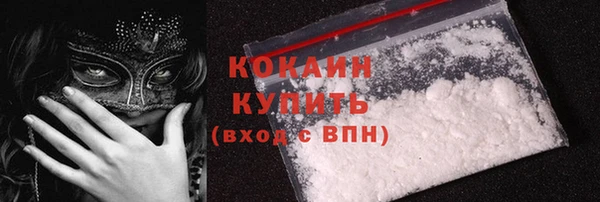 гашик Пестово