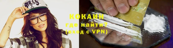 гашик Пестово