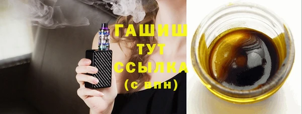 гашик Пестово
