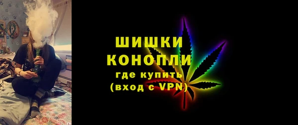гашик Пестово