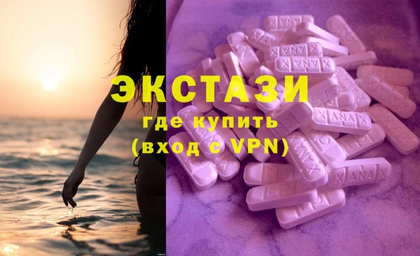 гашик Пестово