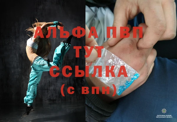 гашик Пестово