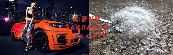 гашик Пестово