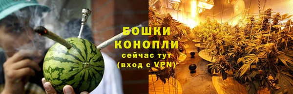 гашик Пестово