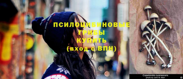 гашик Пестово