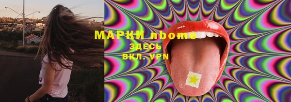гашик Пестово