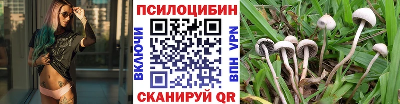 где купить наркоту  Славск  Псилоцибиновые грибы прущие грибы 